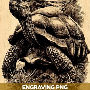 May include: A detailed black and brown wood-engraved illustration of a large tortoise standing on rocky terrain with sparse vegetation. The text ENGRAVING PNG HIGH QUALITY FILE is overlaid in white on a brown horizontal bar across the lower section.