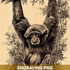 Può includere: Un'illustrazione dettagliata incisa su legno di un gibbone appeso a un ramo d'albero. L'opera presenta linee di inchiostro marrone scuro su uno sfondo di venature del legno chiaro, raffigurante il primate con pelliccia testurizzata tra le foglie.