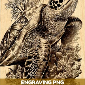 Op de afbeelding: Een gedetailleerde zwart-wit gravure van een zeeschildpad die zwemt bij koraalriffen en een boomachtige structuur. De afbeelding bevat de tekst ENGRAVING PNG HIGH QUALITY FILE op een bruine banner onderaan de illustratie.