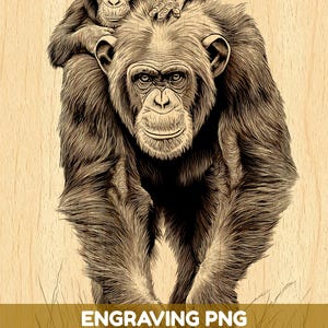 Könnte beinhalten: Eine detaillierte braun-schwarze Strichzeichnung eines Schimpansen, der ein Schimpansenbaby auf dem Rücken trägt, vor einem hellen Holzmaserungshintergrund. Das Bild enthält den Text ENGRAVING PNG HIGH QUALITY FILE in weißen Buchstaben.