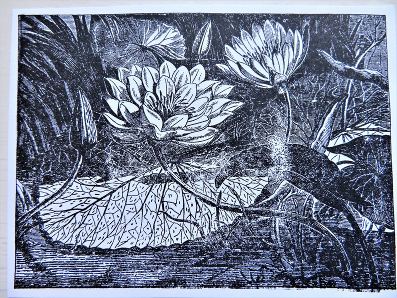 Lush Foliage Rubber Stamp UNMOUNTED Large Lily Flower Leaves Forest Jungle UM Used Vintage image 2