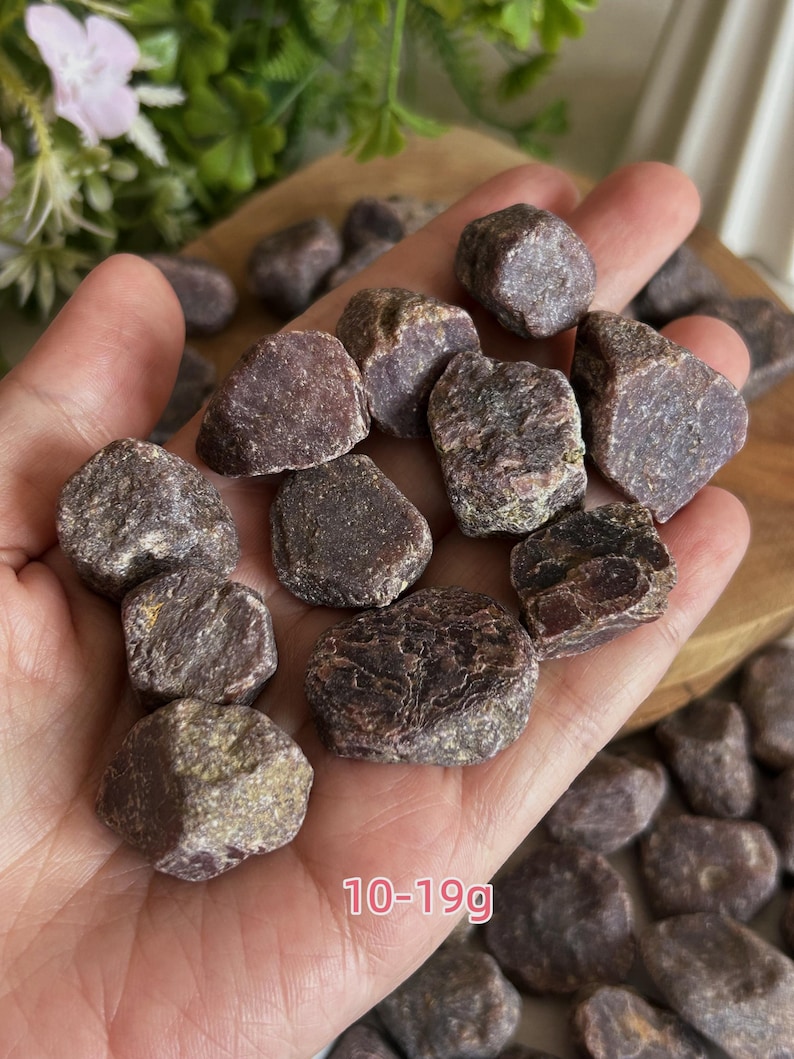 Peut inclure: Une collection de pierres de grenat brutes, brun rouge&acirc;tre fonc&eacute;, aux surfaces irr&eacute;guli&egrave;res et facett&eacute;es. Les pierres varient en forme et en texture, certaines montrant des structures cristallines. Le texte 10-19g indique le poids.