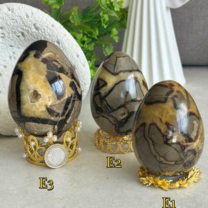 Puede incluir: Tres huevos de piedra septaria pulida etiquetados como E1, E2 y E3. Cada huevo presenta patrones marrones, grises y amarillos con vetas oscuras. Se exhiben sobre soportes decorativos de metal dorado, con E3 sobre un soporte adornado con perlas blancas.