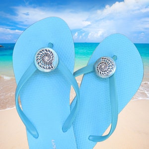 May include: A pair of light blue flip-flops with silver seashell embellishments. The sandals are set against a beach backdrop with a blue sky and ocean, suggesting a summer or beach theme. The flip-flops are a solid light blue color.