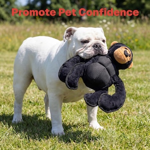 May include: A white English bulldog stands on green grass, holding a black plush toy shaped like a gorilla. The toy has a tan face and is in the dog's mouth. The text "Promote Pet Confidence" is in red at the top of the image.