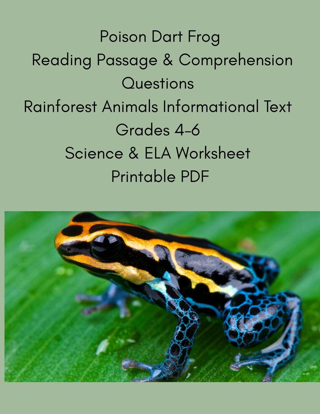 Poison Dart Frog Reading Passage and Comprehension Questions Grades 4–6 ...