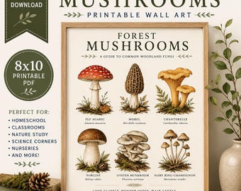 Lámina decorativa imprimible de setas del bosque / Póster botánico del bosque / Decoración de setas estilo cottagecore / Lámina de estudio de la naturaleza Montessori para pared