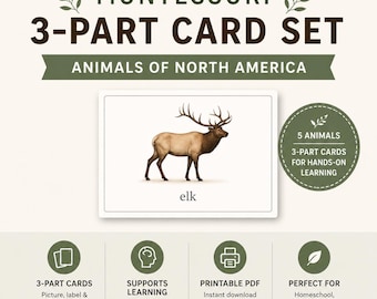 Tarjeta Montessori de 3 partes Animales de América del Norte grupo 1