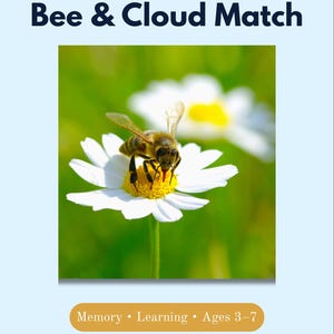 May include: A printable kids game titled "Bee & Cloud Match" features a bee on a white daisy with a yellow center. The background is a blurred green. Text includes "Memory • Learning • Ages 3-7".