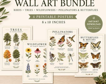 Conjunto de láminas decorativas para pared sobre el estudio de la naturaleza (imprimibles) / Pósteres botánicos vintage / Flores silvestres, árboles, polinizadores, mariposas / Decoración Montessori para la educación en casa