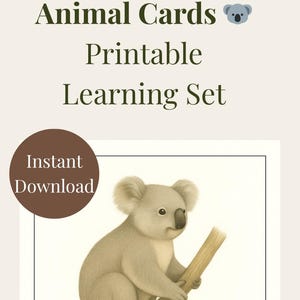 May include: Printable Australian animal cards featuring a koala illustration. The image includes the text "Australian Animal Cards Printable Learning Set" and "Instant Download". The koala is light gray and holding a branch.