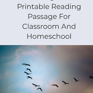 May include: Image of birds in flight against a cloudy sky. The birds are silhouetted, flying in a V-formation. Text at the top reads "Bird Migration Printable Reading Passage For Classroom And Homeschool."