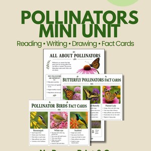 Puede incluir: Un paquete educativo Pollinators Mini Unit para los grados 3-6 que incluye lectura, escritura, dibujo y tarjetas informativas. Las páginas contienen texto sobre polinizadores, tarjetas de mariposas y tarjetas de aves con fotos.