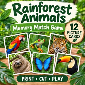 May include: A Rainforest Animals Memory Match Game featuring 12 picture cards. The cards display a macaw, a tree frog, a jaguar, a sloth, a blue morpho butterfly, and a toucan. The text reads Rainforest Animals, Memory Match Game, 12 PICTURE CARDS, and PRINT CUT PLAY.