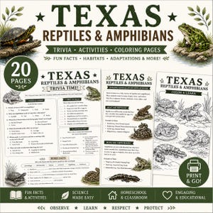 Op de afbeelding: Een kleurrijke educatieve poster set getiteld "Texas Reptiles & Amphibians". De set bevat trivia, activiteiten en kleurplaten. Het ontwerp bevat illustraties van schildpadden, kikkers en andere reptielen en amfibieën.