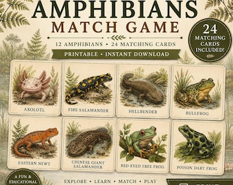 Juego de memoria sobre anfibios antiguos (imprimible) / Actividad científica Montessori / Juego de memoria sobre anfibios / Material imprimible para el estudio de la naturaleza en casa