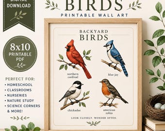 Lámina decorativa imprimible de aves de jardín / Póster de naturaleza con aves / Decoración infantil con temática de bosque / Lámina de aves Montessori / Decoración para el estudio de la naturaleza en la escuela en casa