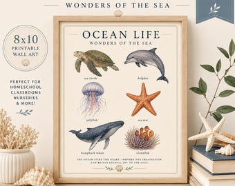 Lámina decorativa imprimible sobre la vida marina / Póster de naturaleza costera / Decoración Montessori del océano / Lámina vintage de animales marinos / Arte científico para la educación en casa