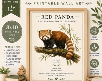 Lámina decorativa imprimible de panda rojo / Decoración infantil con temática de bosque / Póster de animales Montessori / Lámina decorativa acogedora de estilo cottagecore / Arte mural de naturaleza para la habitación infantil