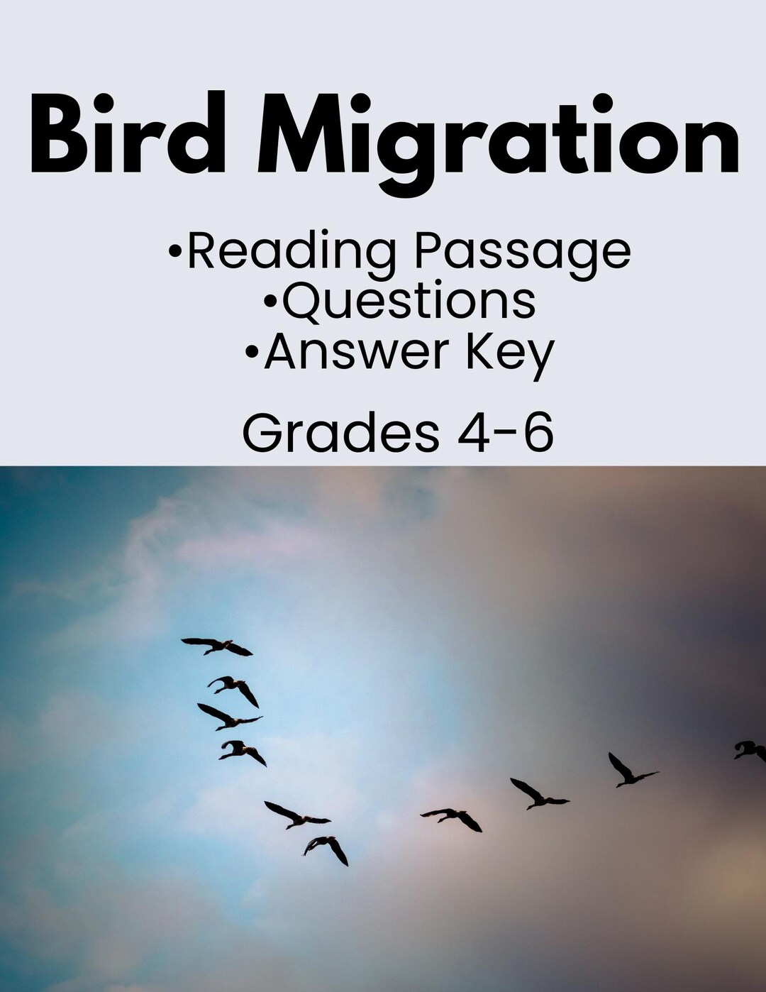 Spring Bird Migration Reading Passage for Elementary Science and ...