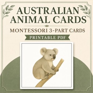 May include: A set of printable Montessori 3-part cards titled AUSTRALIAN ANIMAL CARDS, featuring a central illustration of a grey koala perched on a brown branch. The design includes dark green text and leaf accents on a cream-colored background.