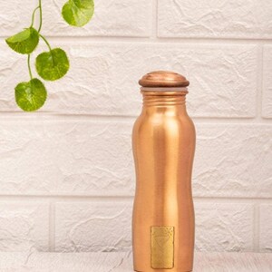 May include: A copper water bottle with a rounded shape and a screw-on lid. The bottle features a small, rectangular gold emblem. The background is a white brick wall with a green leafy vine. The bottle is likely to hold around 750 ml.