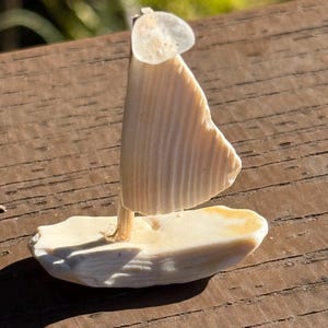 May include: A handcrafted miniature sailboat made from natural seashells. The boat features a shell base, a shell sail, and a small, clear stone at the top of the mast. The sailboat is a light beige color and sits on a wooden surface.