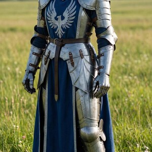 May include: A full suit of silver-colored armor with a blue tunic. The armor features a detailed design, including a chest plate with a white bird emblem. The person is standing in a grassy field.