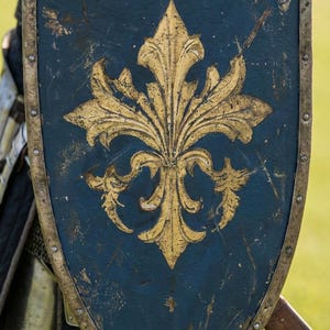 May include: A medieval shield with a dark blue background and a gold fleur-de-lis design. The shield has a weathered appearance with a gold trim and rivets. The shield is held by a person wearing armor.