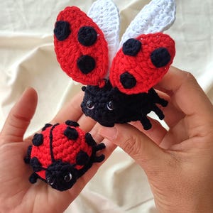 May include: Two crocheted ladybug figures. One ladybug is flat with a red back, black spots, and a black head. The second ladybug is larger, featuring raised red wings with black spots, white under-wings, and a black body with small legs.
