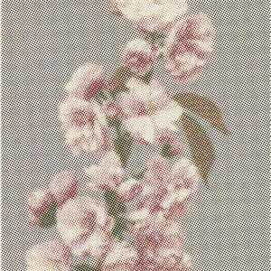 May include: A digital illustration of a floral arrangement featuring pink and cream-colored roses. The image has a halftone dot pattern background, giving it a vintage or retro aesthetic. The roses are in full bloom.