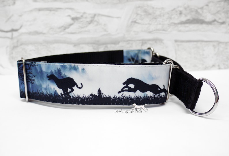 sled dog collars