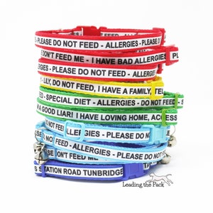 Handmade personalised cat or kitten safety collars, custom text medical alert do not feed