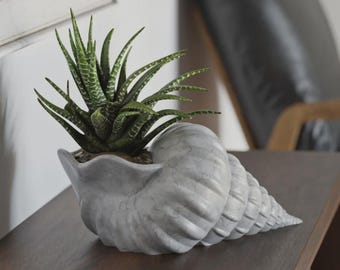Seashell Planter Pot | Nautical Coastal Home Decor | Unique Succulent Shell Vase