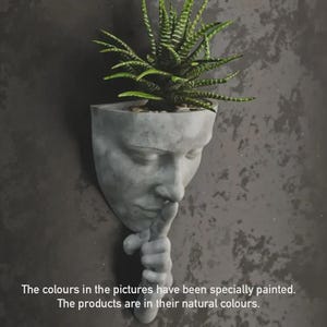 Peut inclure: Un pot de fleurs gris en forme de visage avec un doigt sur les lèvres, contenant une plante verte. Le pot est monté sur un mur gris foncé. Le texte indique que les couleurs des photos ont été spécialement peintes.