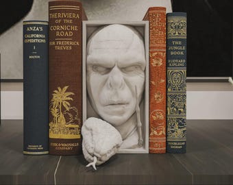 3D Printed Dark Wizard Book Nook: Gothic Shelf Insert with Snake & Wand