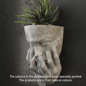 Op de afbeelding: Een grijze betonnen gezichtsvormige plantenbak met een groene vetplant. De plantenbak heeft een verweerde afwerking en is gemonteerd op een donkergrijze muur. De tekst op de afbeelding luidt: "De kleuren op de foto's zijn speciaal geschilderd. De producten zijn in hun natuurlijke kleuren."