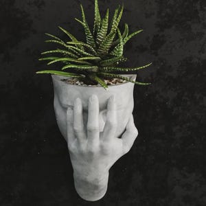 May include: A grey concrete planter in the shape of a human face, with a hand covering the eyes. It contains a green succulent plant. The background is a dark, textured surface.