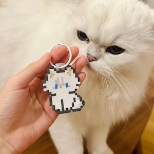 Porte-clés et aimant personnalisés chat | charm perle fait main | Portrait d'animal de compagnie en pixel art | Accessoires cadeaux | Cadeau pour amoureux des chats