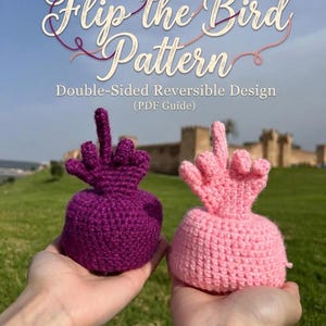 Patrón de crochet de pájaro reversible / Diseño divertido de amigurumi en PDF