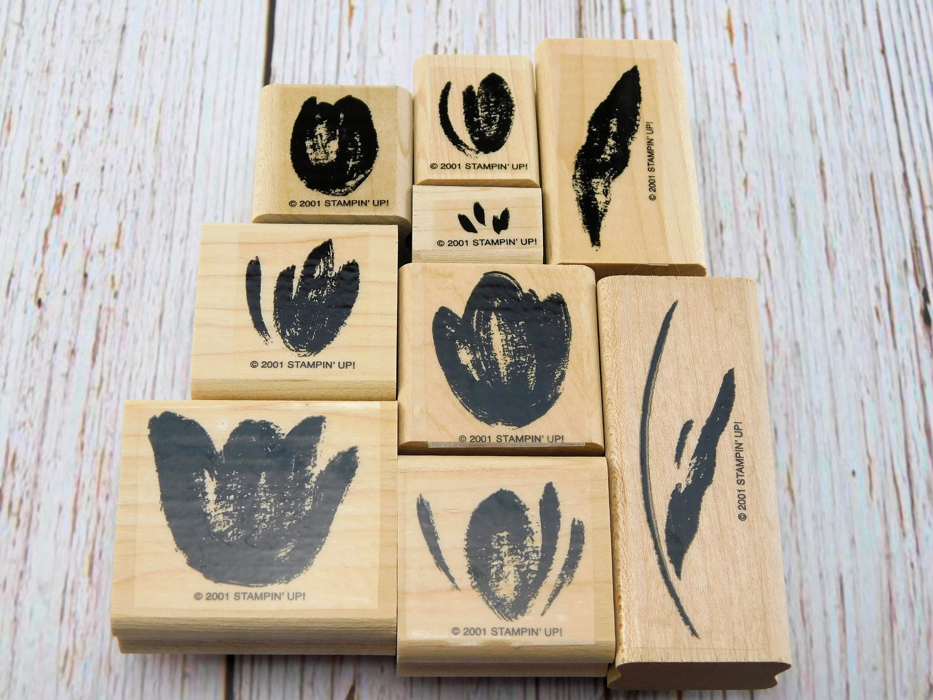 Stampin up botanical - Etsy 日本