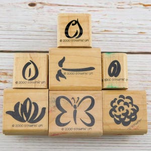 Stampin Up Stamps - Rose Rhapsody - Stempelset - Op hout gemonteerde postzegels