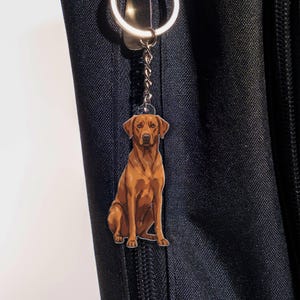 May include: A brown dog keychain with a silver keyring and chain. The dog is sitting, with a detailed illustration of its fur and features. The keychain is hanging against a black background.