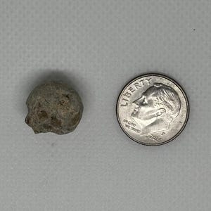 May include: A small, irregularly shaped, gray-brown object next to a U.S. dime. The object has a rough, textured surface. The dime shows the profile of a person and the word "LIBERTY".