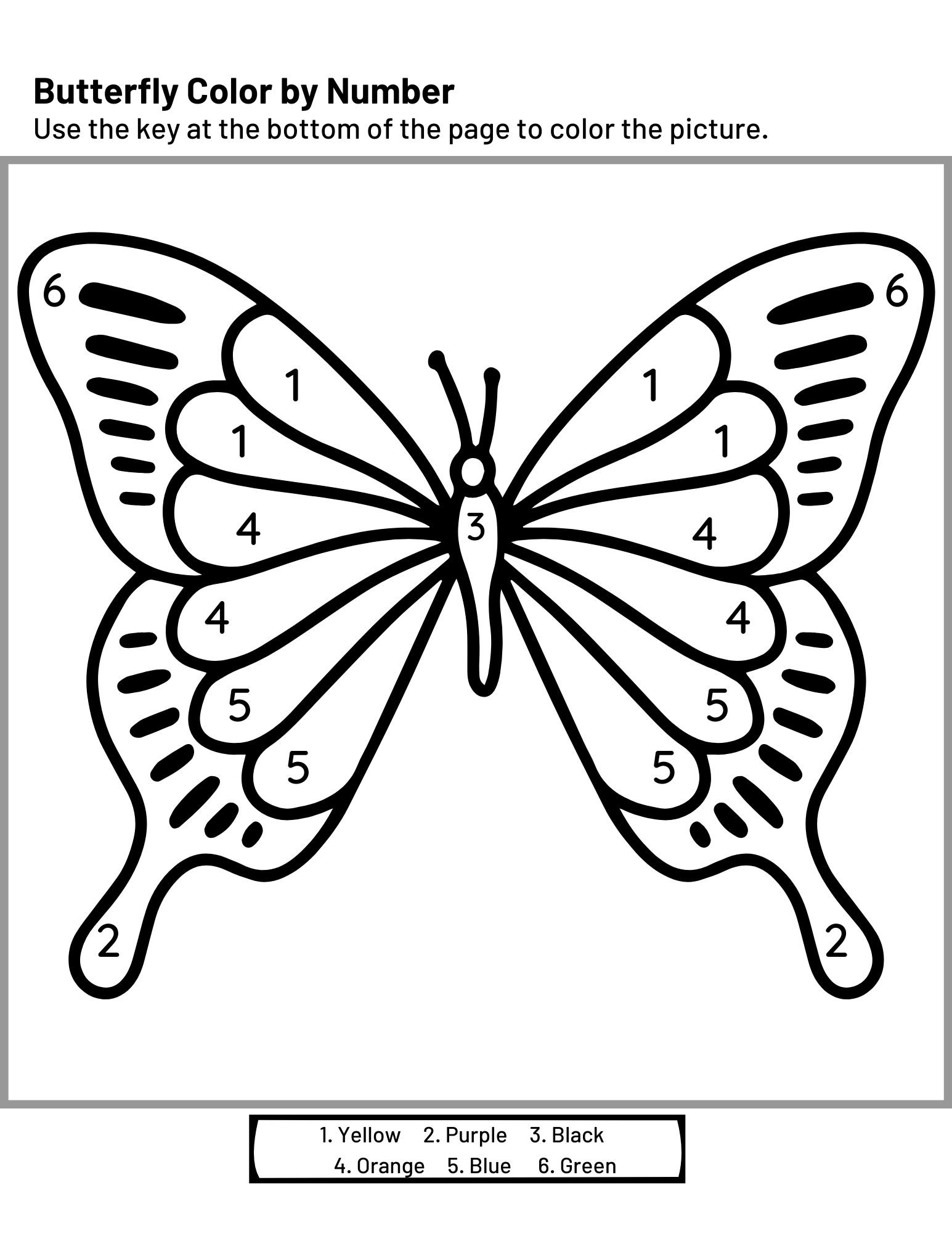 Kids Color and Count Printable PDF Worksheets Instant Download ...