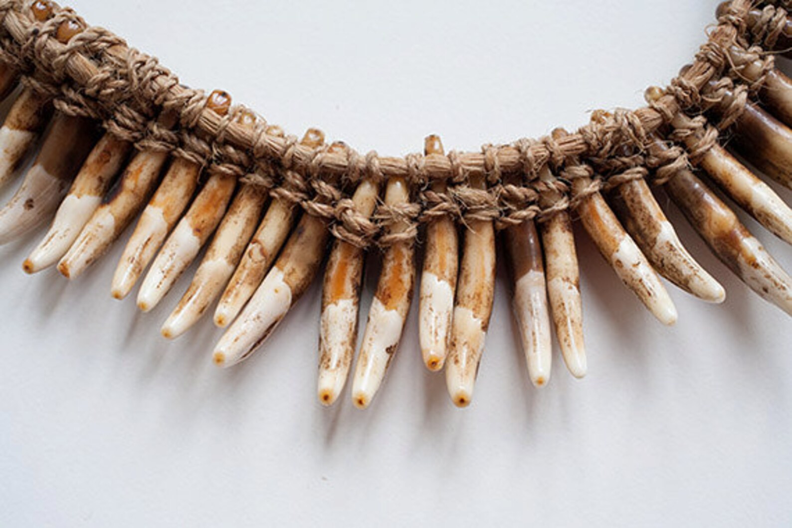 Dog Tooth Necklace from Papua New Guinea Ethnic Artifact Mid Etsy