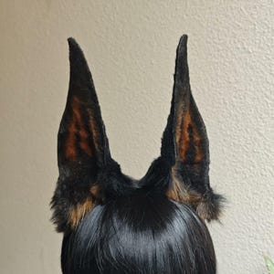 Puede incluir: Una peluca negra con orejas de Doberman adjuntas. Las orejas son negras con marcas marrones y tostadas, y son erguidas y puntiagudas. La peluca está peinada con pelo corto y negro. La peluca está sobre una cabeza de maniquí blanca.