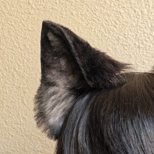 May include: A close-up of a black and gray faux fur wolf ear attached to black hair. The ear is triangular with a textured, fluffy appearance. The background is a solid, light tan color.