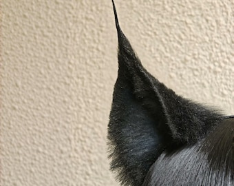 Handmade Black Lynx Cat Ears, Realistic Lynx Ears Headband, Dark Blue Inner Cat Ears Cosplay, 8cm