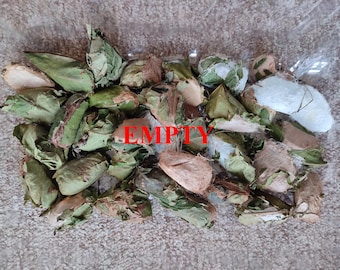 Capullos vacíos de polilla luna (juego de 15) - Materiales de arte